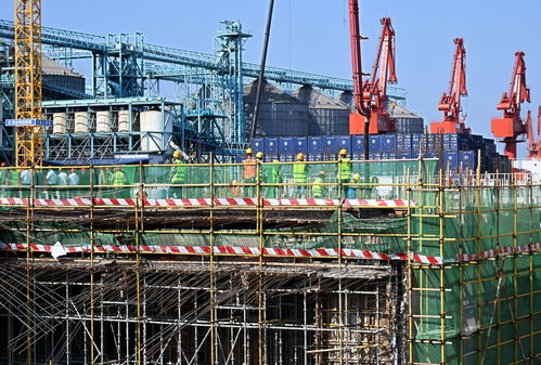 青島國際郵輪港區搶抓施工黃金期，建設按下“快進鍵”，工程勘察穩步推進