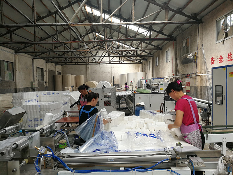 小型衛生紙加工廠的盈利前景與風險分析